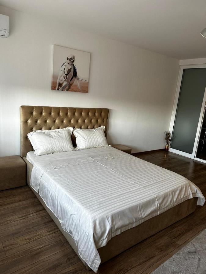 Appartement Anastasia Apartament à Oradea Extérieur photo